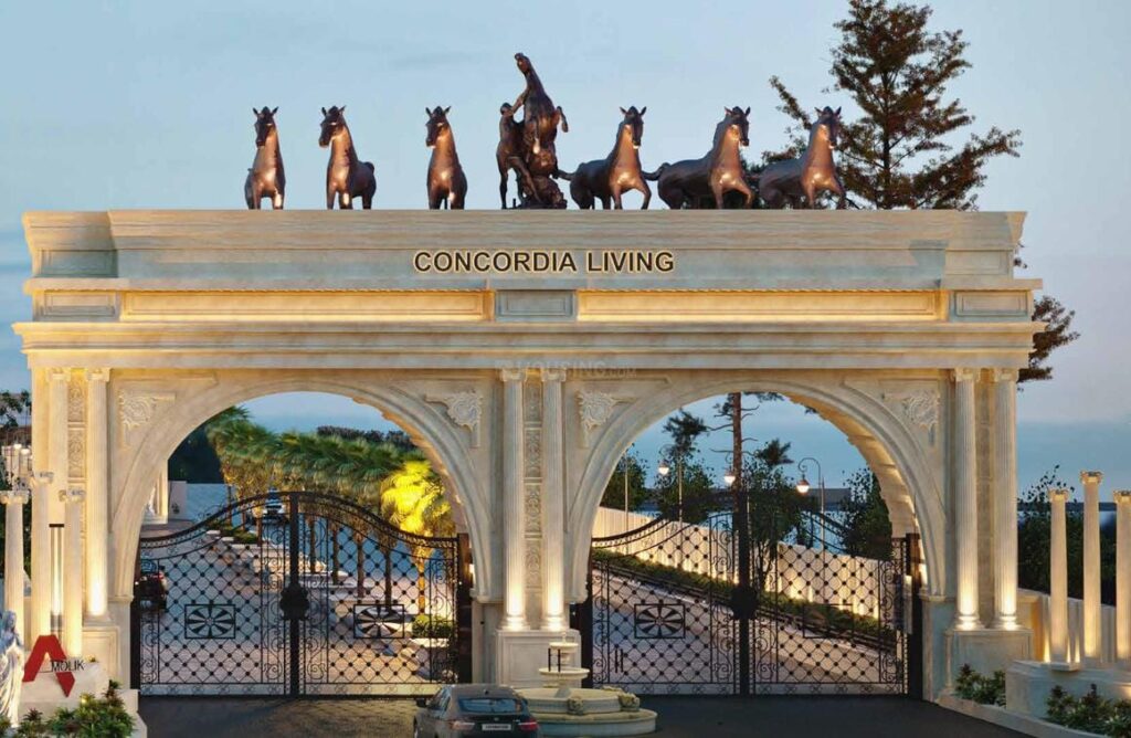 Amolik Concordia