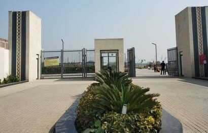 Amolik Blossom Woods