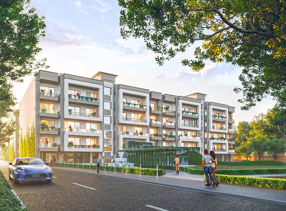 whatsapp image 2025 11 18 at 19.32.08 49a23be4