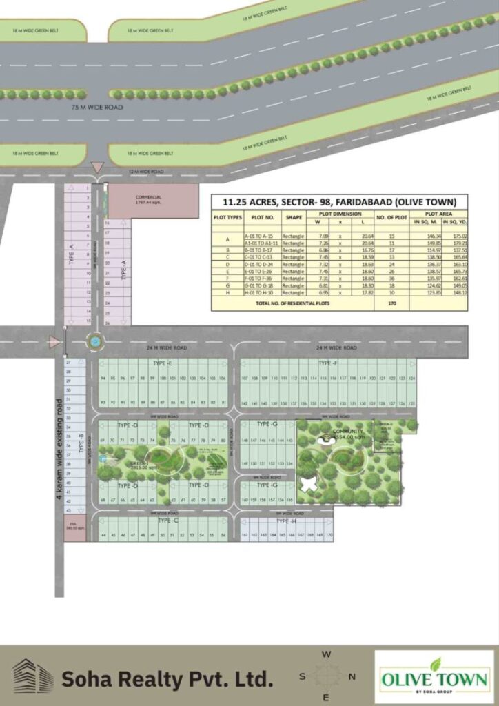olive town marketingplan 768x1086